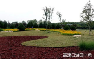 南召县 园林绿化提档升级 城市面貌焕发新颜