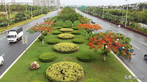 城市园林绿化行业标准全解析