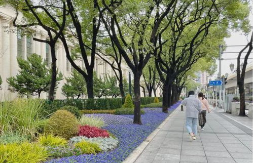 “破墙开园” 拓展城市公共空间的绿色实践