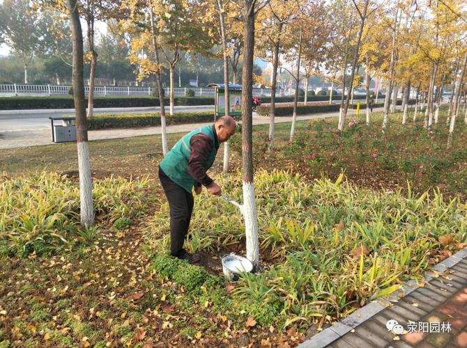 打通城市绿化脉络提升园林绿化效果