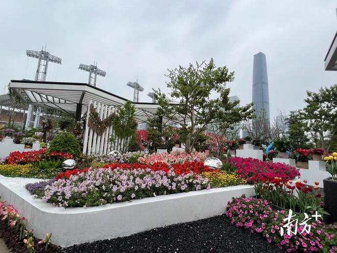 广州全球首发!新优花卉品种展示会今明两日免费开放