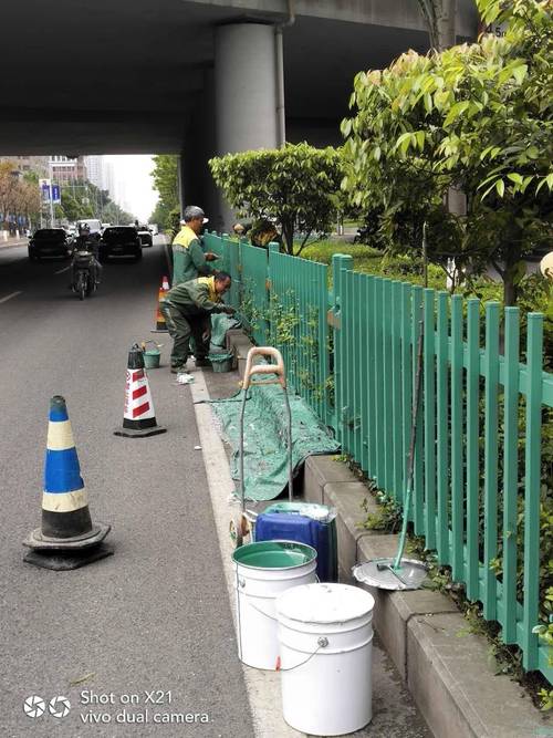 江北区园林绿化管理所城市提升春季行动