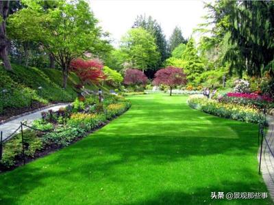城市绿化树木养护知识(城市园林绿化树木的养护管理)